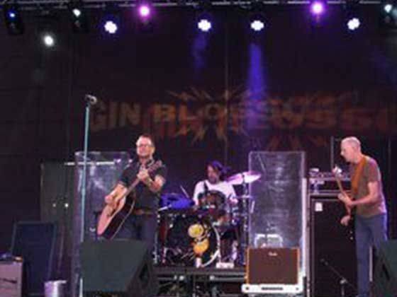 Gin Blossoms